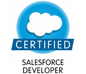 Salesforce Developer